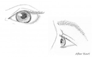 Detail of Eyes